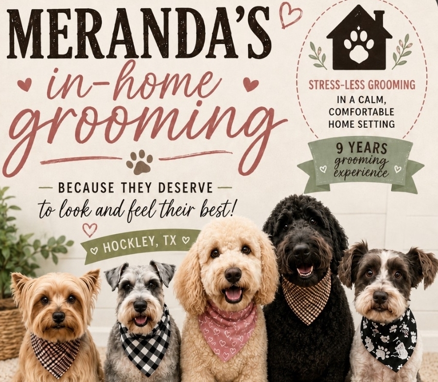 Meranda's Grooming Flyer